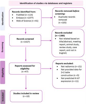 CT-based radiomics for predicting Ki-67 expression in lung cancer: a systematic review and meta-analysis